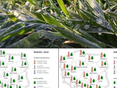 Jaka będzie zima 2026? Jaki marzec, kwiecień? 4-miesięczna prognoza pogody wg IMGW-PIB
