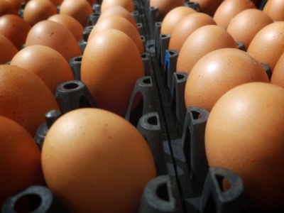 Rynek drobiu w 2026 r. Są wyzwania, ale i szansa dla Polski na światową czołówkę