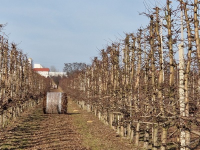 Mercosur. Sukces czy podstęp?