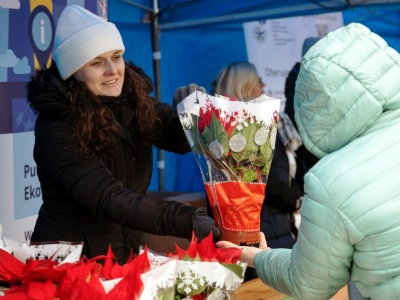 Świąteczny Jarmark w Chełmcu już w ten weekend. Drzewka za pomoc zwierzakom, warsztaty, koncerty i spotkania ze Świętym Mikołajem