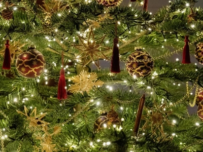 W tym sklepie wypożyczysz choinkę. To nie żart