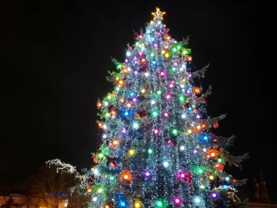 Siedlecka choinka po metamorfozie zachwyca mieszkańców. „Dlaczego tak nie można było od razu?” – pytają siedlczanie