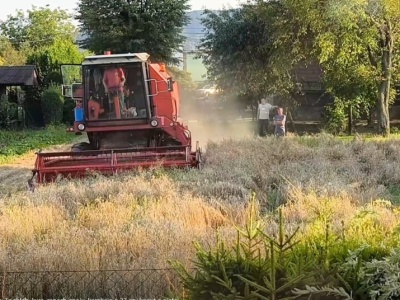 Wieś to nie cisza, to życie.