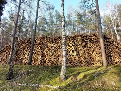 Tyle trzeba zapłacić za drewno do kominka w grudniu. Tu kupisz je najtaniej