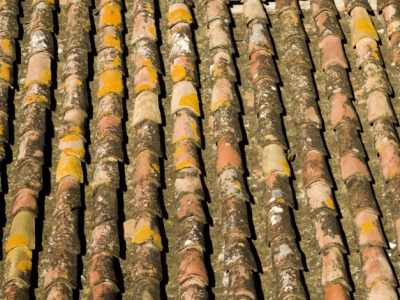 Rolnicy mogą otrzymać do 100% dofinansowania. Kruszyna wznawia nabór wniosków na usuwanie azbestu