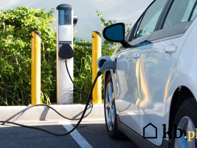 Jedni dostaną 40 000 zł a inni grosze. Skąd te nierówności w dopłatach ze strony rządu?