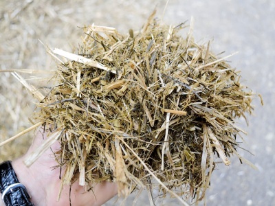 Węglowodany i włókno – o czym nie mówiło stare NRC?