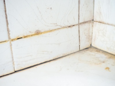 Wysmaruj brodzik, zostaw na noc i gotowe. Na drugi dzień prysznic będzie lśnił czystością