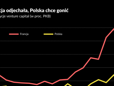 Państwo jako koordynator. Tego trzeba Polsce