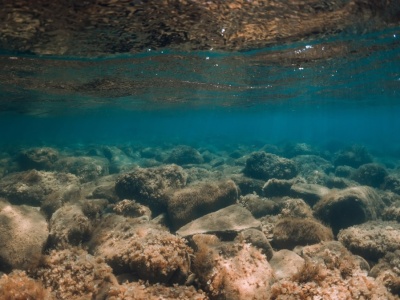 Gigantyczny magazyn dwutlenku węgla pod oceanem. Może zmieniać klimat Ziemi