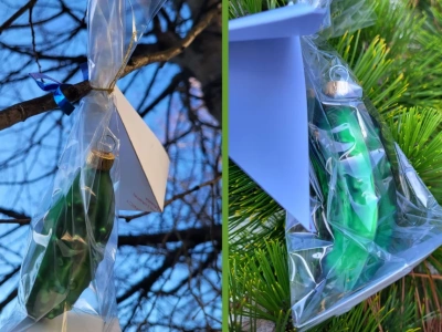 Szukajcie bombek - legnickich ogórków w centrum miasta!