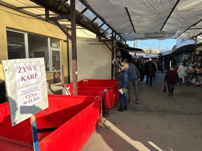 Apel o bojkot sklepów sprzedających żywe karpie