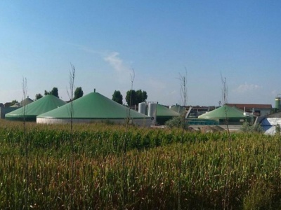 Do dzierżawy z KOWR ponad 138 hektarów. Plus chlewnie i biogazownia