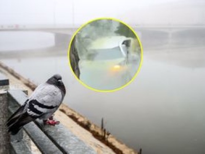 Niecodzienny wypadek we Wrocławiu. Auto zanurkowało w fosie