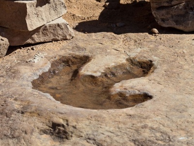Odkryli największe stanowisko dinozaurów na świecie. Chodzi o dziesiątki tysięcy śladów!