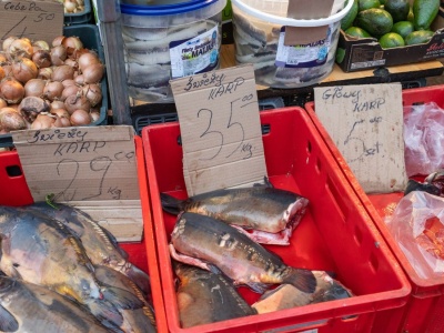 Ile kosztuje karp? Tyle zapłacisz za rybę na chwilę przed świętami