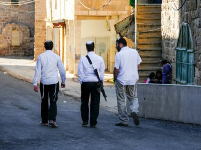 Żydowscy bojówkarze podpalili kolejny, palestyński gaj oliwny