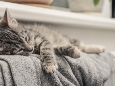 Ostatni dzwonek na bon ciepłowniczy. 15 grudnia kończy się termin składania wniosków