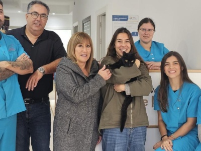 Cud w El Rosario: Kot Oreo wrócił do domu po 7,5 roku