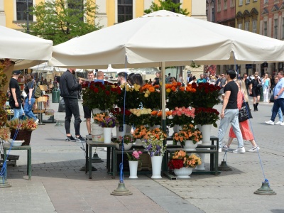 Kwiaciarki na płycie Rynku Głównego czeka duża zmiana. Od 2026 roku nowe zasady sprzedaży