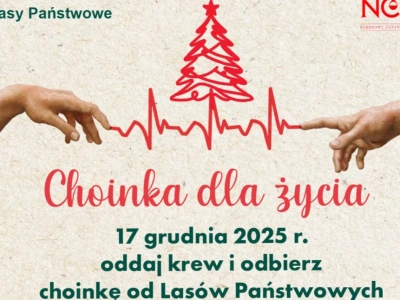 Siedlce: Oddaj krew i odbierze choinkę!