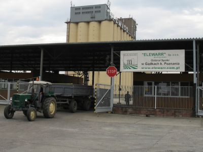 Ceny kukurydzy i zbóż paszowych w górę. Sprawdzamy, gdzie skupy płacą najwięcej