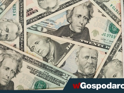 Dolar traci po obniżce Rezerwy Federalnej