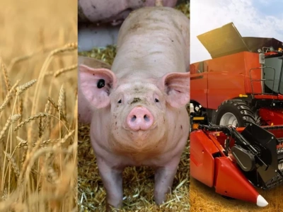 Które regiony Unii Europejskiej napędzają produkcję rolną?