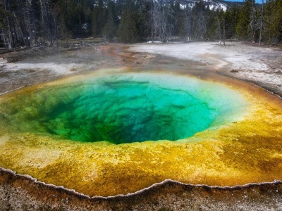 Niezwykłe skutki trzęsienia ziemi. Pod powierzchnią Ziemi budzi się życie