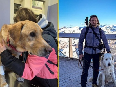 ​Udało się odnaleźć Pirata. To pies zaginionego we Włoszech Polaka