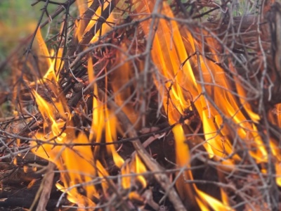 Palenie gałęzi na własnym polu. Przepisy są w tym wypadku jednoznaczne