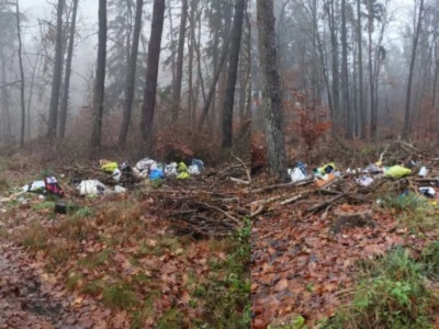 Śmieci w lesie na terenie Chojnic. Straż Leśna szybko ustaliła sprawcę