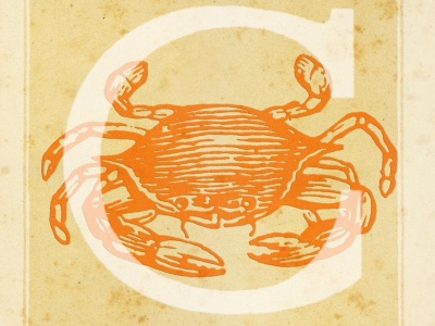 Horoskop tygodniowy dla Raka na 15.12 – 21.12.2025