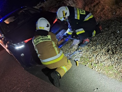 Strażacy uwalniali lisa ze… zderzaka