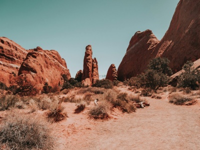 Metale dla przyszłości ukryte w glinie. Dlaczego Silicon Ridge robi taki hałas?