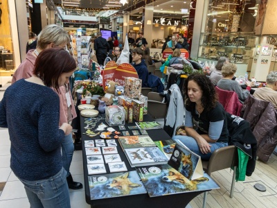 Święto bielskich NGO-sów. W Bielsku-Białej działa ponad pół tysiąca organizacji pozarządowych
