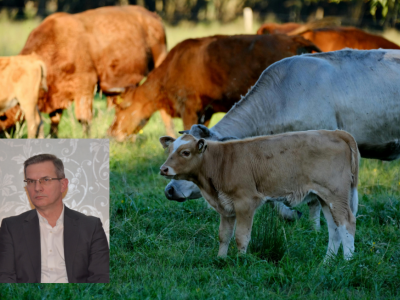 „Rolnik musi zarobić i zakład musi zarobić”: premia za zrównoważoną produkcję musi być wyższa!