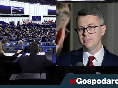 Klauzula ochronna w Mercosur - 