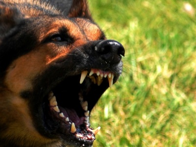 Ustawa łacuchowa powraca. Rząd chce forsować zmiany mimo weta prezydenta