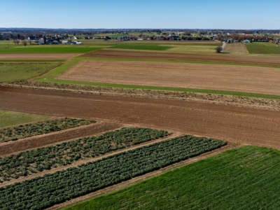 Parlament Europejski zatwierdza zmiany w polityce rolnej. Uproszczenie przepisów WPR