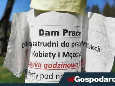 Tąpnięcie na rynku pracy. Chodzi o liczbę wakatów