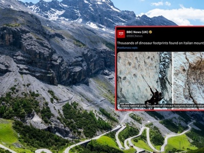 Niezwykłe znalezisko we Włoszech. Odkryto tropy dinozaurów sprzed 210 mln lat