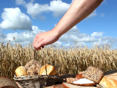 Bartosz Mielniczek: Państwo musi pomóc polskim rolnikom