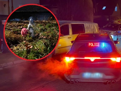 Wstrząsające zabójstwo 11-latki. Prokuratura zabrała głos