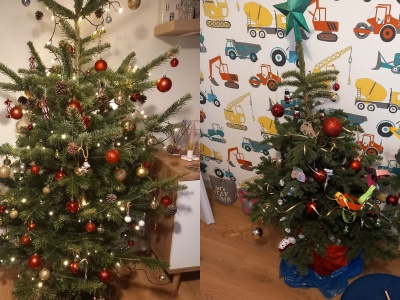 Choinkowe szaleństwo. 