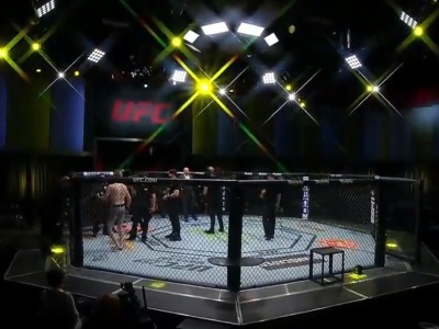 Trzech Polaków poza organizacją UFC