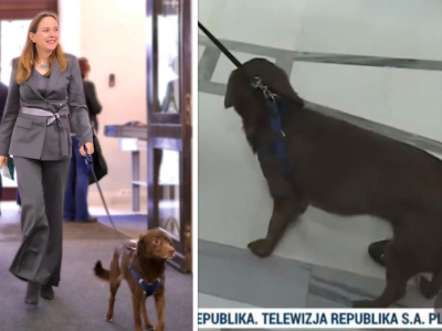 SKANDAL! Pełczyńska z żywym rekwizytem w Sejmie. Tak 