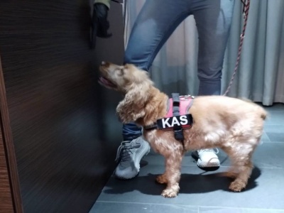 Miliony z paliw i lata fikcji. Ta sprawa pokazuje, jak działały luki w systemie podatkowym