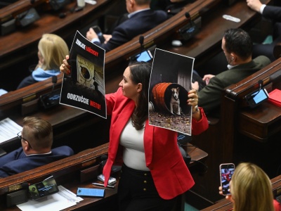 Sejm zagłosował nad odrzuceniem weta prezydenta do ustawy łańcuchowej. Jak głosowali posłowie?