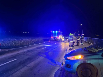 Zderzenie peugeota z sarną koło Lublina. Są utrudnienia w ruchu